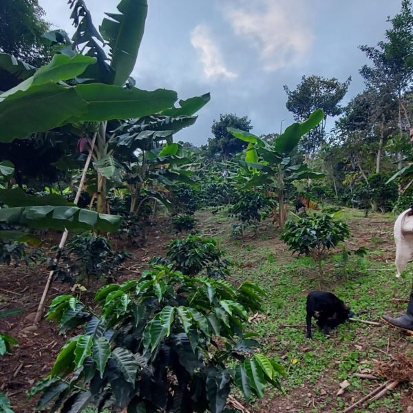 20211204_171330-dca44353145529262fd4a1f1ae0c56ed