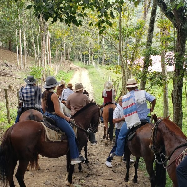 20211211_110025-bb91e082ec31272a15841a30c1512ce3