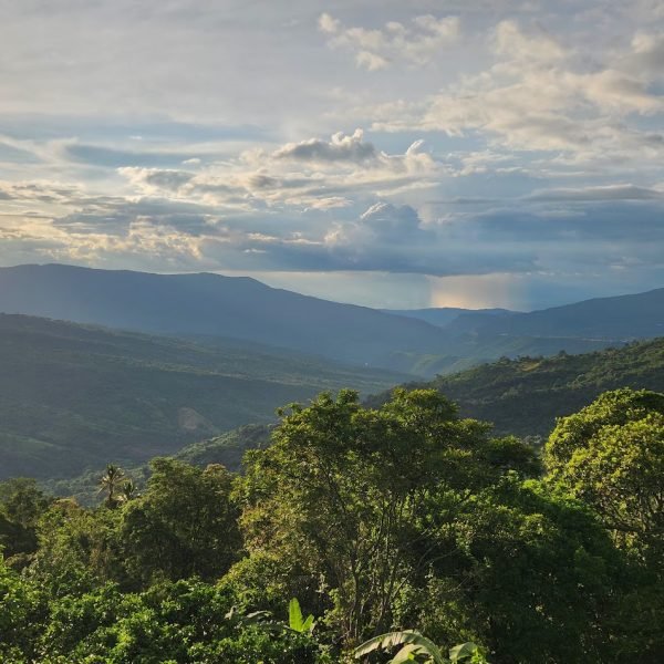 20241113_165939-ba5dafe540b6c8cf0e6108e48d500f46