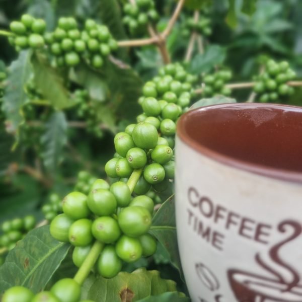 20250102_110256-e8fa84b262bc4fbbdae51e29c709a618