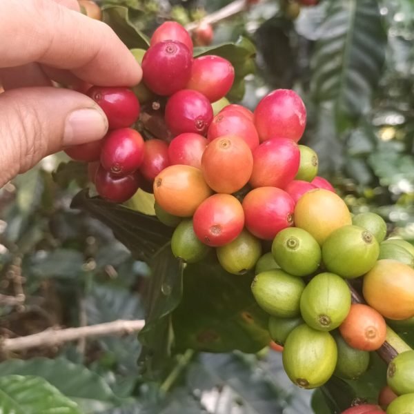 20250418_093420-a6eaf02eaaafd5a64952c5282f7aa781