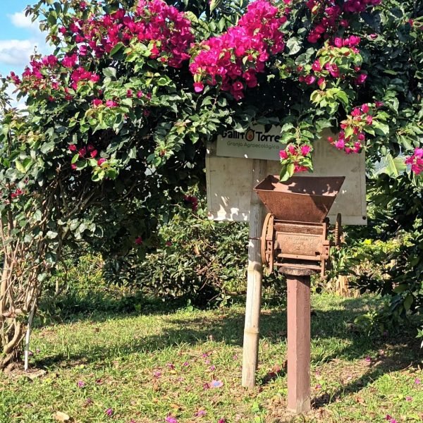 20251014_151613-2e6debd31ed00387a7f3bd7e1a1d6773