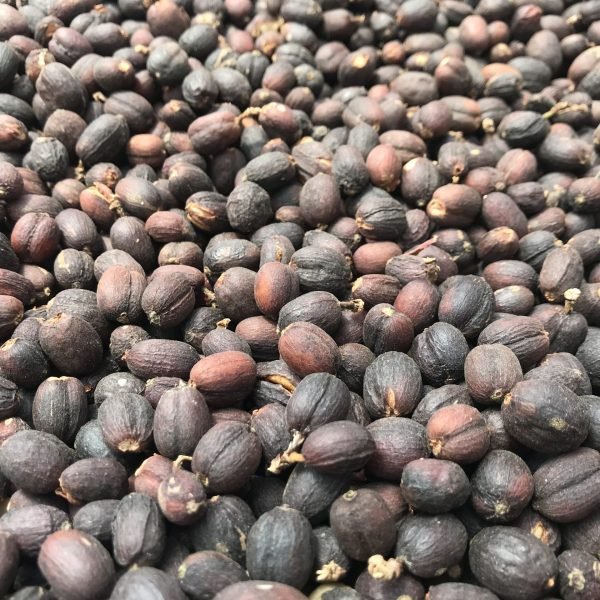 27-838efed9c104e978e7e006b7fe556868