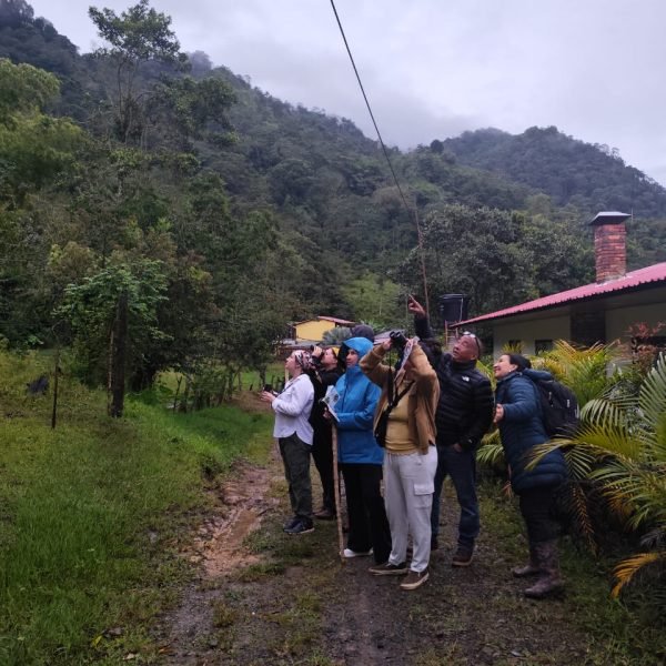 AVISTAMIENTO-584e4d22f4ce819e6d2289c891817538