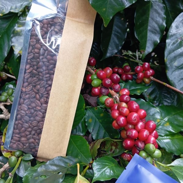 CAFE-GRANO-bec53eb6093b4918dcdc2cf77f32c2e8