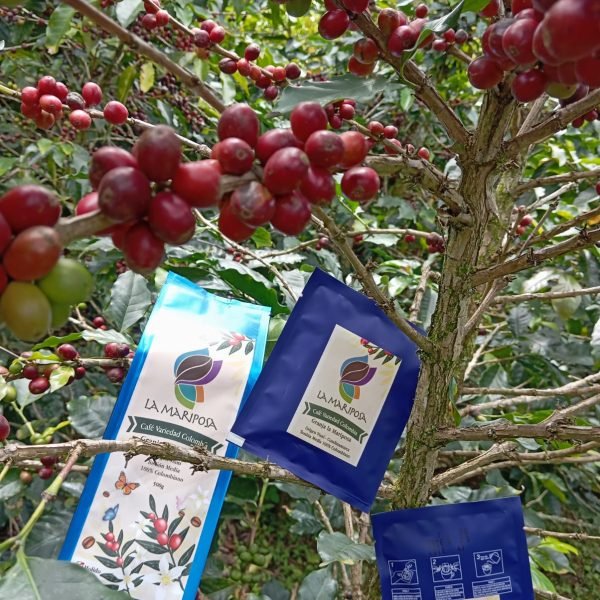 CAFE-MOLIDO-PRESENTACIONES-38541a2ba5ccb8f25344a8a5658ba927