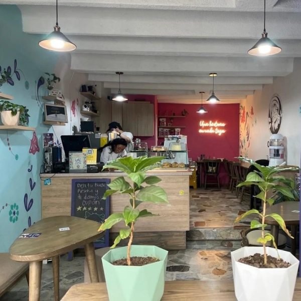 Coffelia_1-ddc061372711b26ff23935c15174ce64