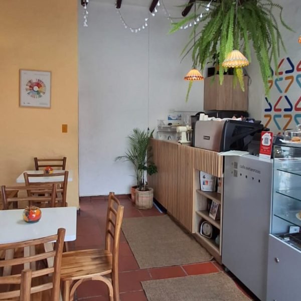 Foto_2-f34e56217871f5d2800babaed62cf2c8