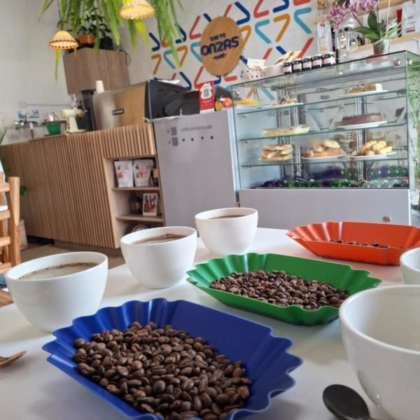 Foto_3-d01ba40f0d58750865625945e8c0cd43