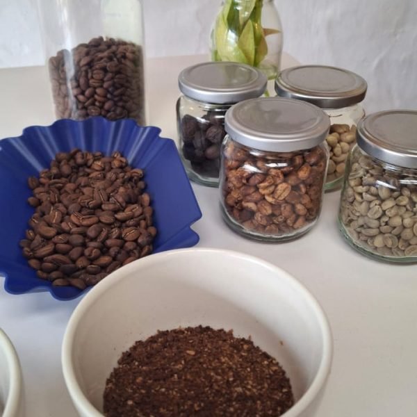 Foto_6-4aee376f90c3b4e031b74b5cf97e7abe