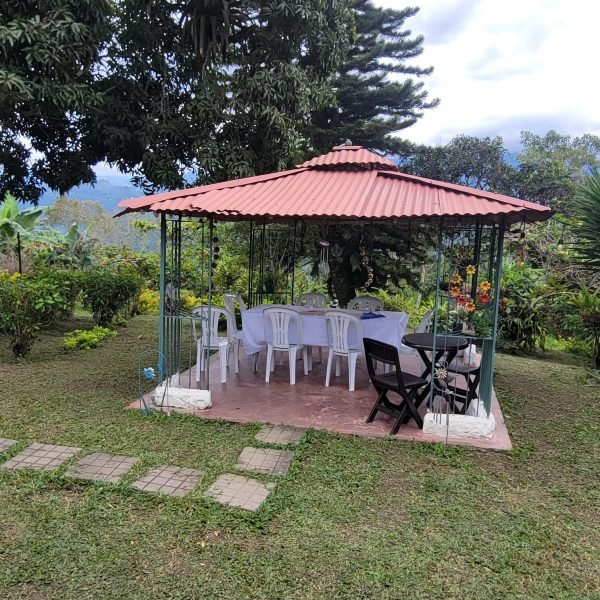 IMG-20250322-WA00551-1-2d5327142567e933e70d3b138361c101