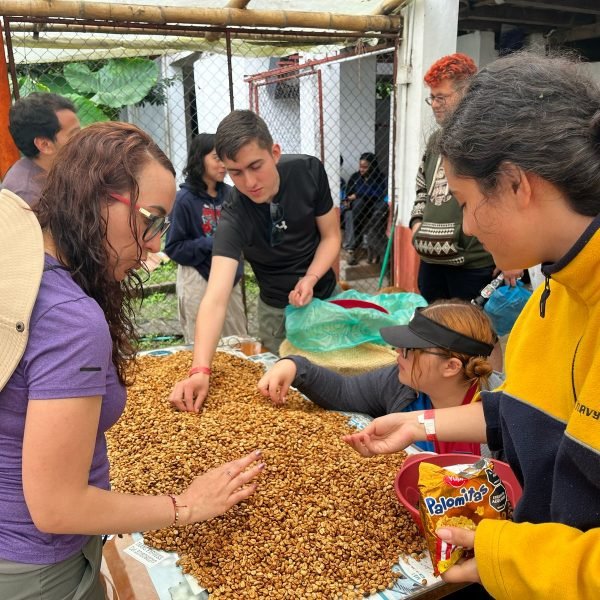 IMG-20250424-WA00111-450c8105cda89fee43a10b2b7a96f13a