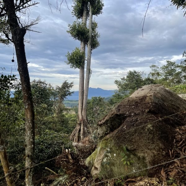 IMG_0452-ac356aed47eacbac80b9520da49c9929