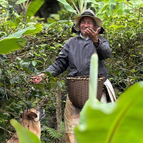 IMG_1785-90c61fc9fa864246a0bc4ad636918d79