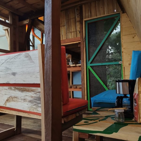 IMG_20221201_173255599_HDR-bb9b3dd7071bd018f6ba6c749e2c6ee1