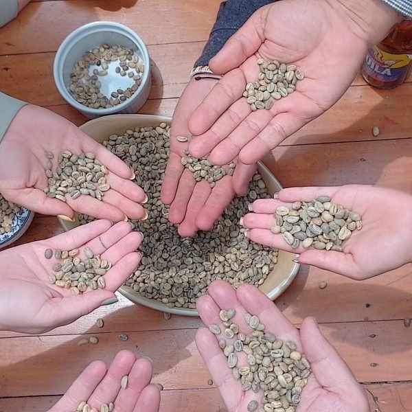 {"capture_mode":"AutoModule","faces":[]}