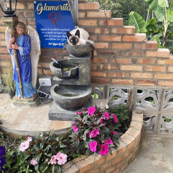 IMG_2036-c642f935530a869fc33f08db5bf39988