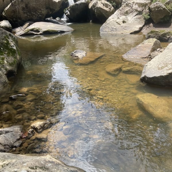 IMG_2251-0577a6ca5f0d9194d228d5d5b223cc14