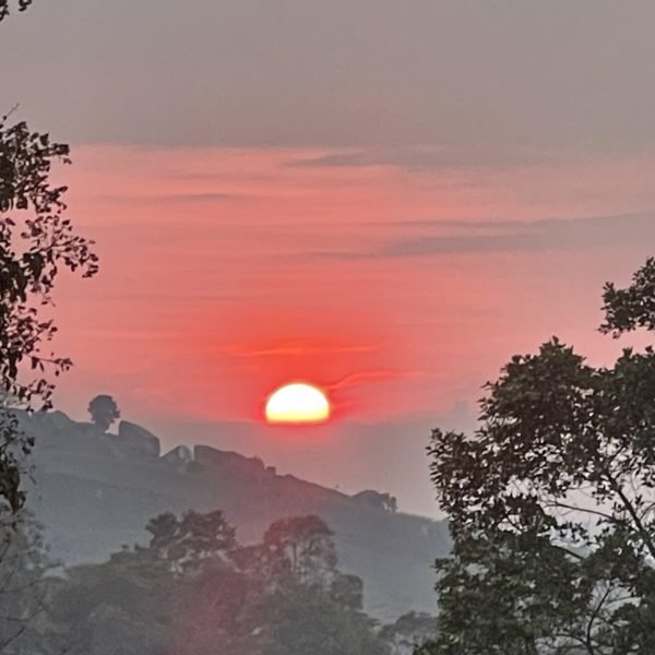 IMG_2608-434f9dd0934fa2b9236973985646eecf