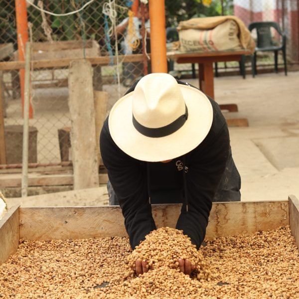 IMG_2828-2393aaea05e2df4adc602f31b5f60245