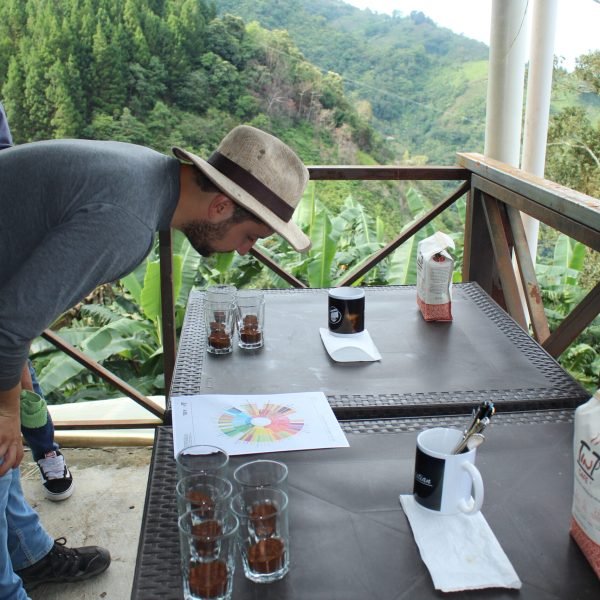 IMG_5136-a830617d9808a4082edb1b9396950f6d