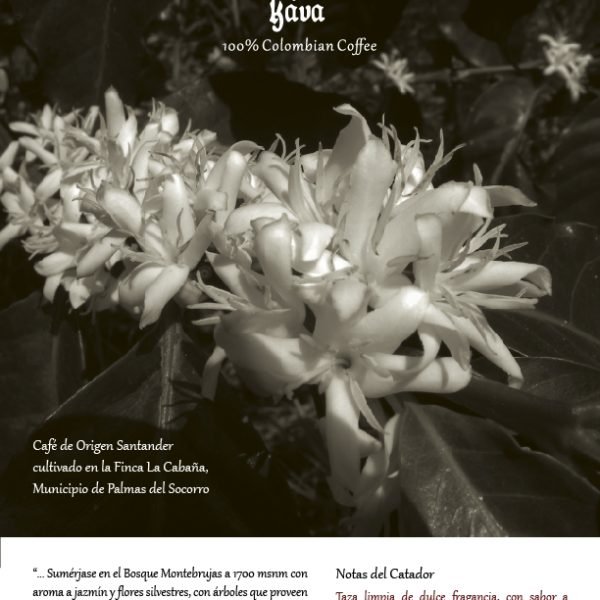 INFO1-3bf5de66baadf6e02a90940da24867a1