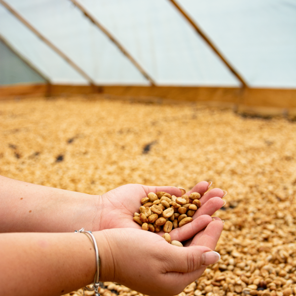 KAR_6903-2db3a09fb675d7e1e3822981422d6985