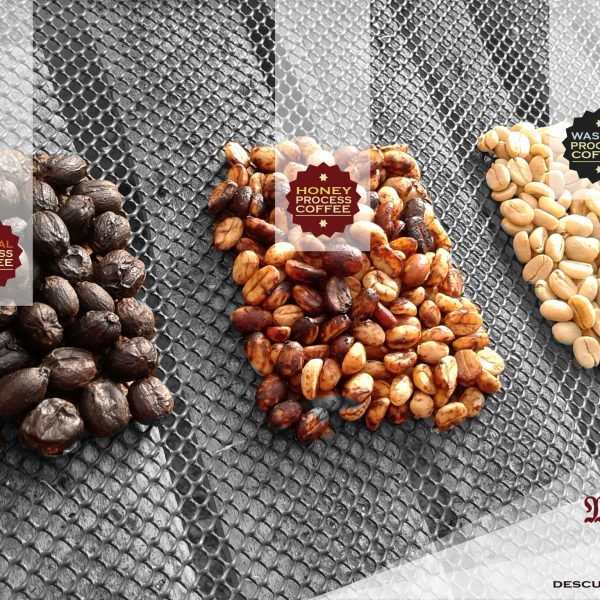 PROCESOS-bbcd0f4a1b365a66ce8ebc71d8d891d3