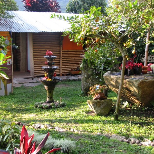 Pedregoza2-007-4f9717ad3d987da0a17c9e6a6983a7d4