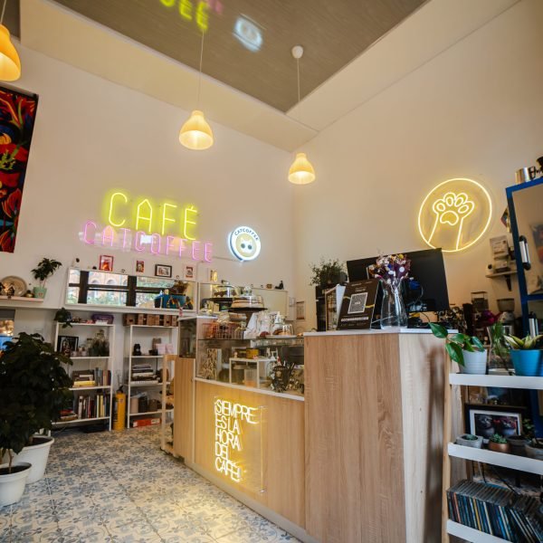 SELECCIÓN-FINAL-12-de-39-a54e09baeeb78ce550232b065f4056aa