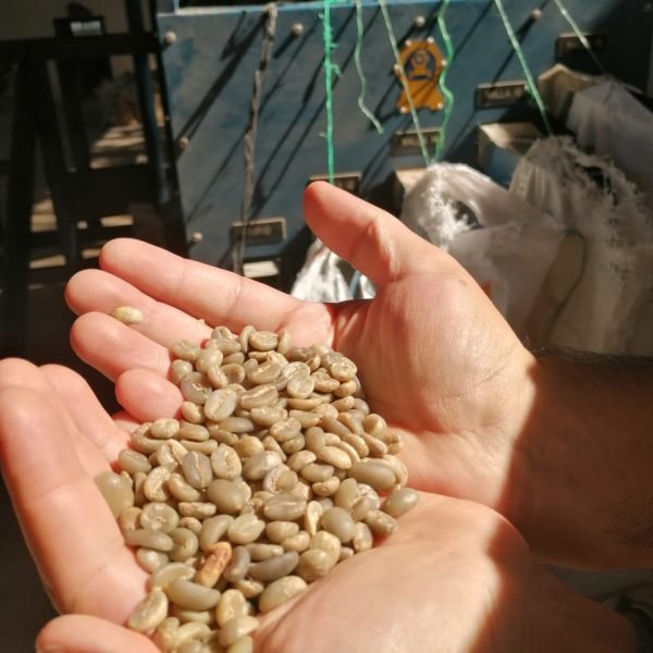 WhatsApp-Image-2022-03-26-at-1.42.05-PM-4-2c721f4ced5d97636627341ef66e0bd0