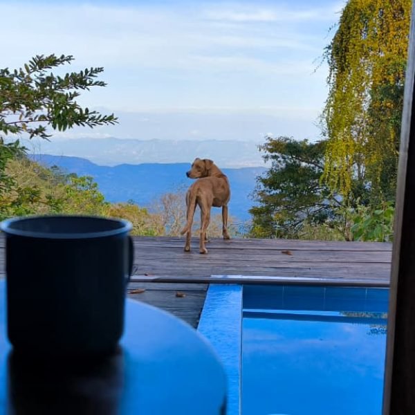 WhatsApp-Image-2025-09-11-at-8.35.40-PM-7824856c4a883a54c257f5b00d4ef0d6