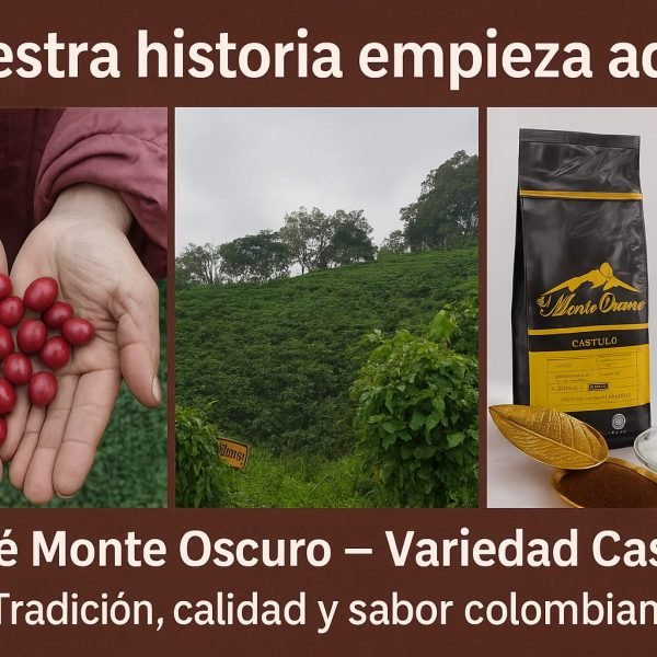 WhatsApp-Image-2025-10-16-at-5.16.52-PM-1f151cda85c8baada6bb7bf0e1882b54