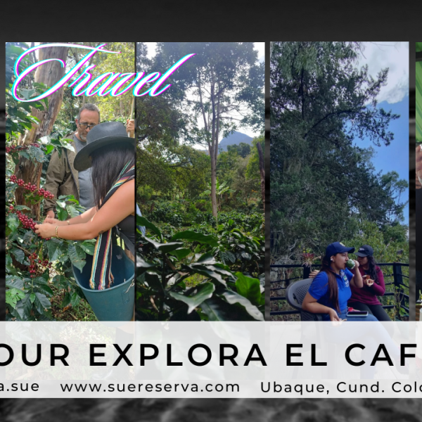 coffee-tour-1-715fccab391611f2aa3ebbd6bf93a073