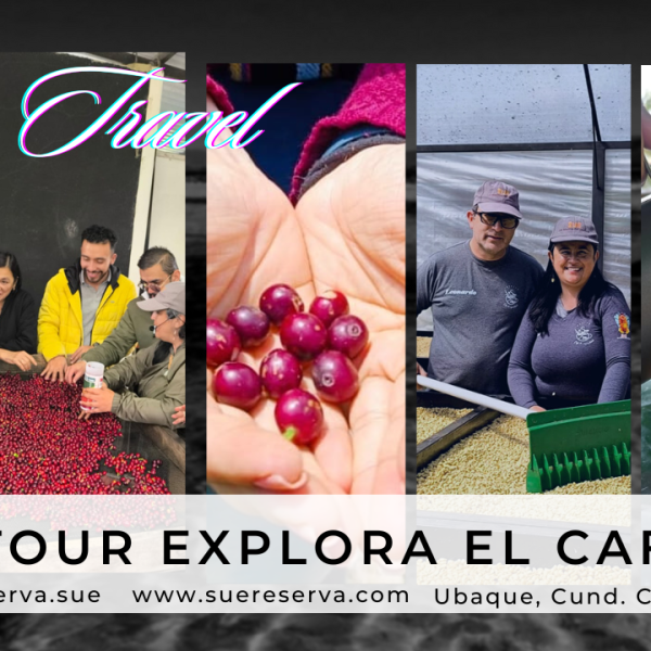 coffee-tour-3-d4652fc24dbf950ea30291b51874582a