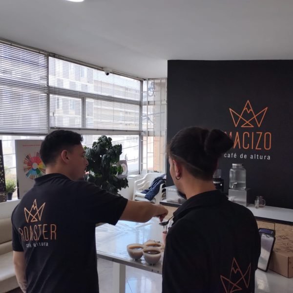 d36ed382-1d45-4058-a95c-deea81632466-3e8bd9bd803a20c9a1cac869a6f2da39