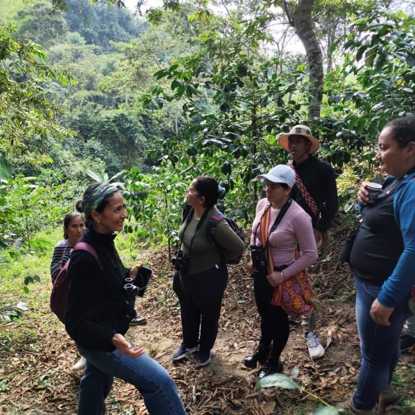 finca-2-7b093e22a4491107b87c3b289a828160