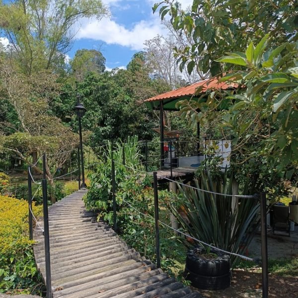 kiosko-de-catas-5002105175ade9fd8163cf41a0e3f2a0